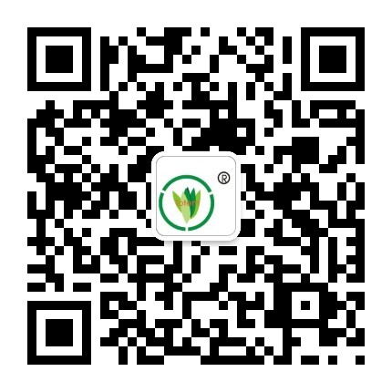 &#22810;&#23453;&#32593;&#39029;&#29256;&#45;&#22810;&#23453;&#65288;&#20013;&#22269;&#65289;